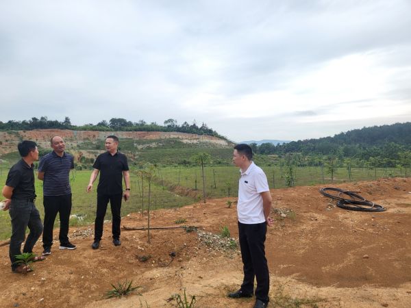 澧縣土地資源,澧縣公共基礎(chǔ)設施,澧縣工商業(yè)信息咨詢,澧縣澧州實業(yè)發(fā)展有限公司